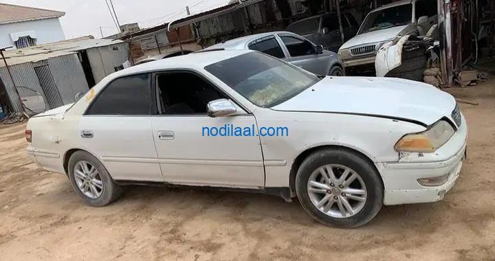 Indha cade iib ah jigjiga yar