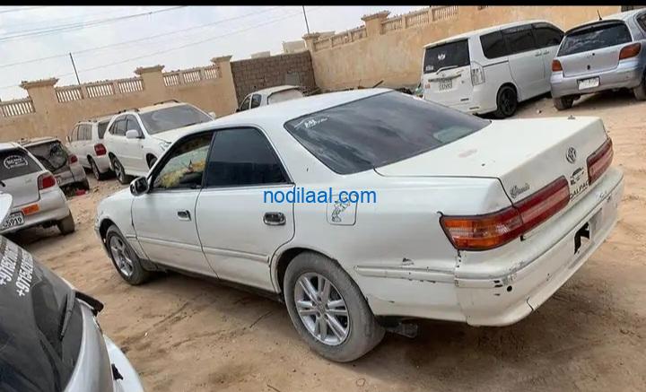 Indha cade iib ah jigjiga yar