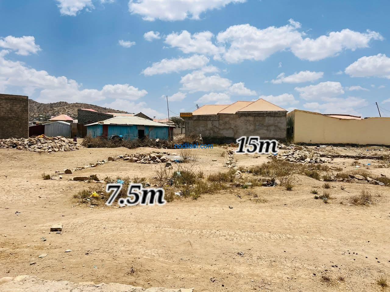 Dhul iiba Hargeisa Hayayaabe