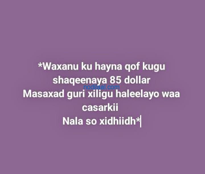 Waxanu ku hayna gabadh nadiifiyaa