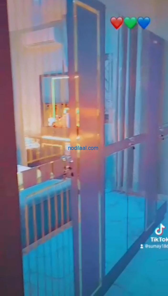 Jiif cusub oo celis ah