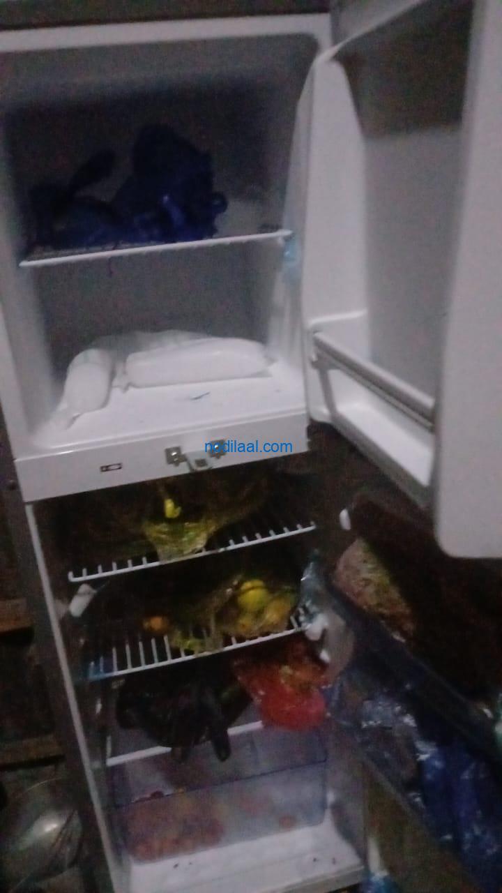 Firiij cusub oo celis ah