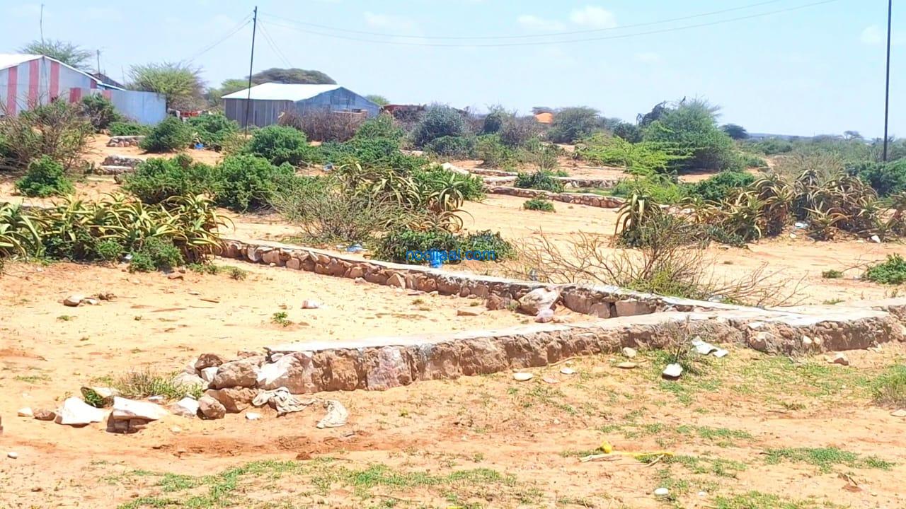 Dhul iib ah hargiesa