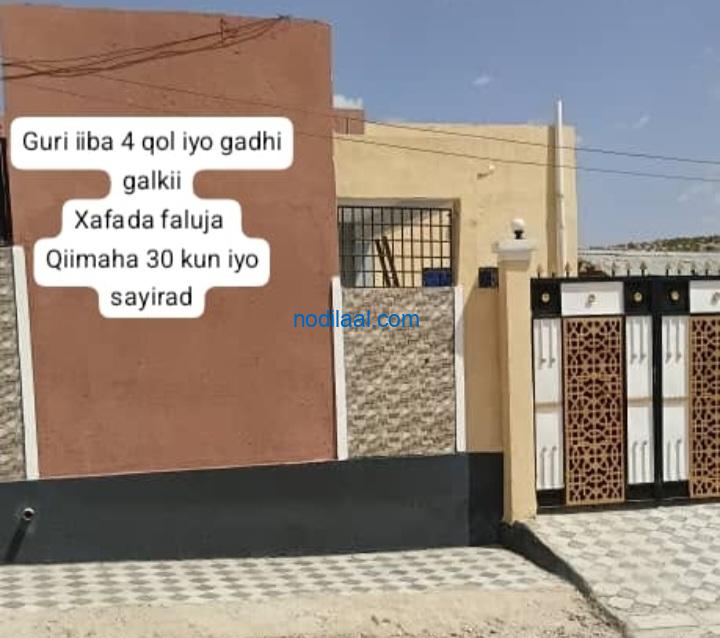 Guri iiba