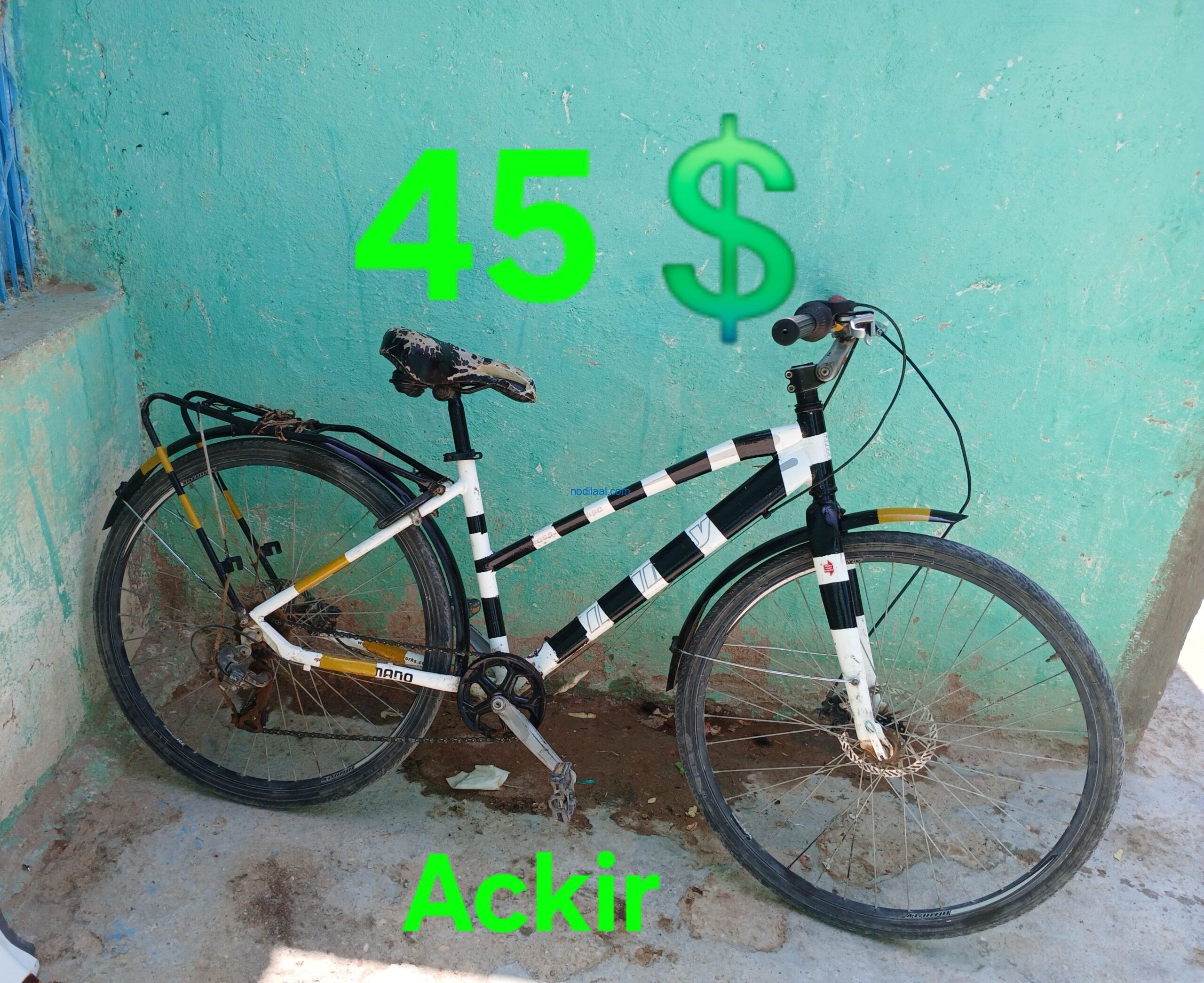 Baskiil 🚲