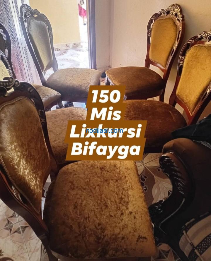 Miis kuraas iyo biifaay