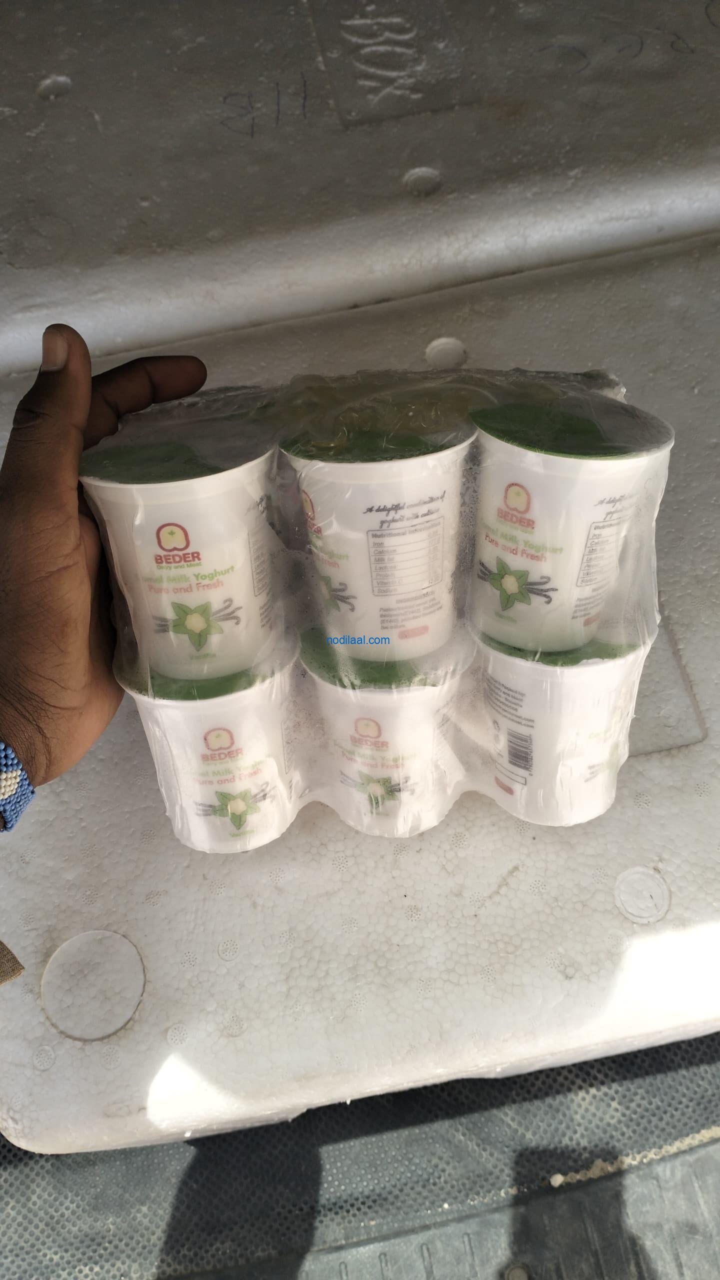 yoghurt camel milk