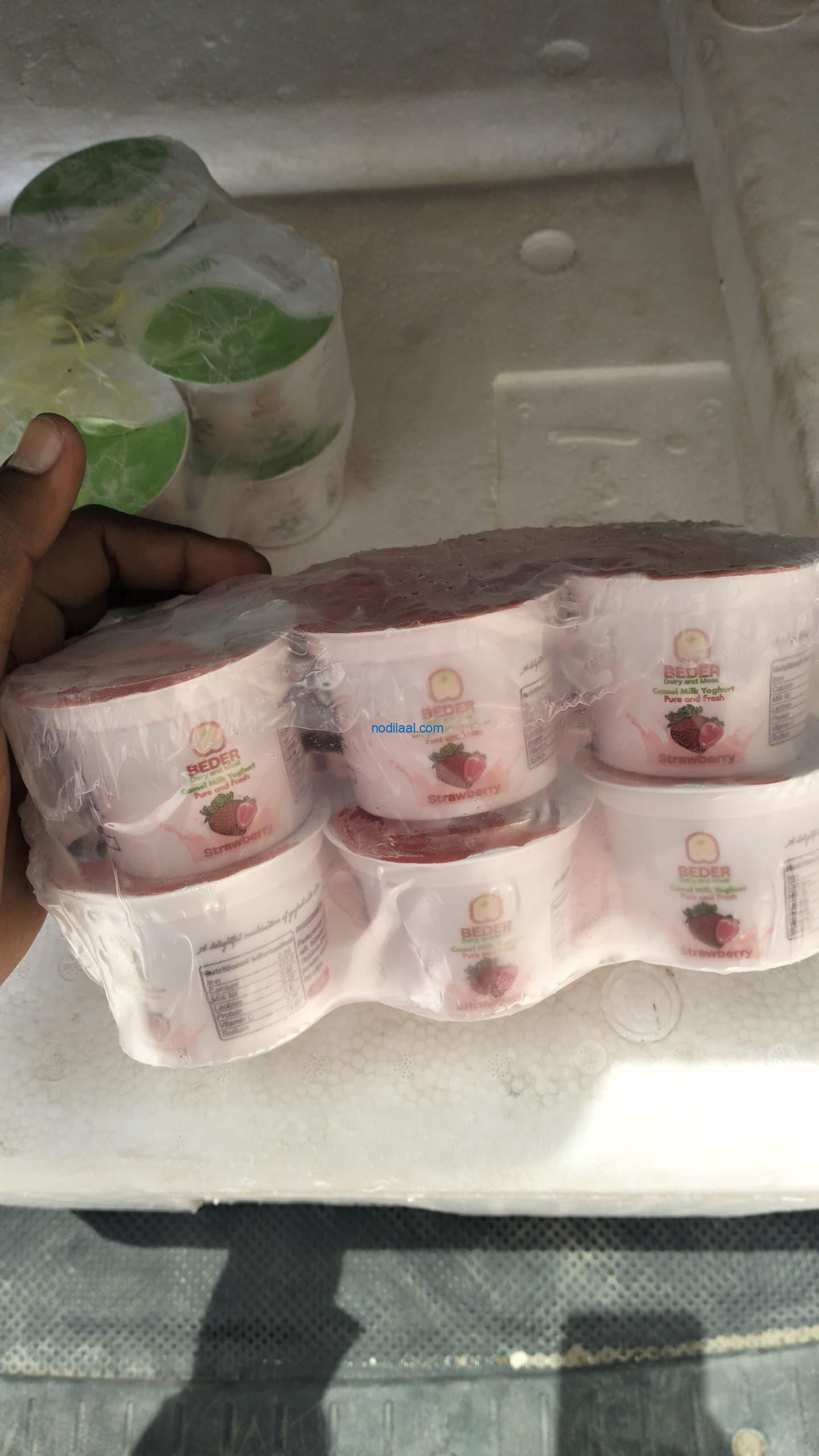 yoghurt camel milk