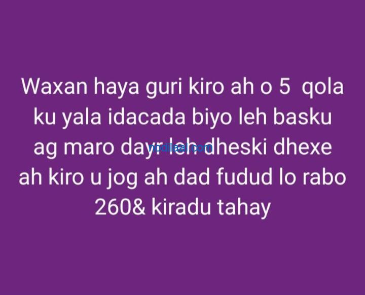 Guri kiro ah Hargeisa