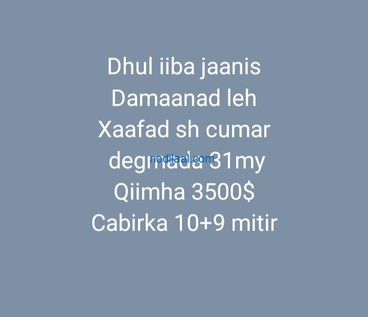 Dhul iiba dagmada 31 may Hargeisa