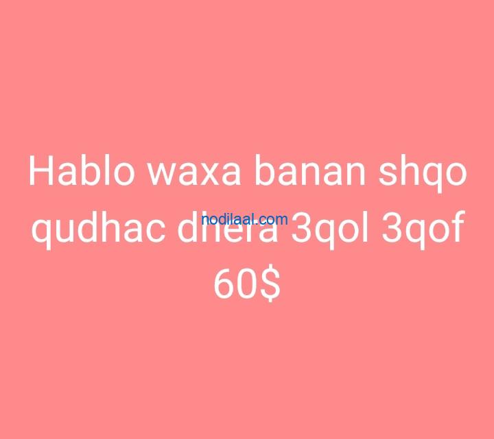Shaqo guri oo banaan $60