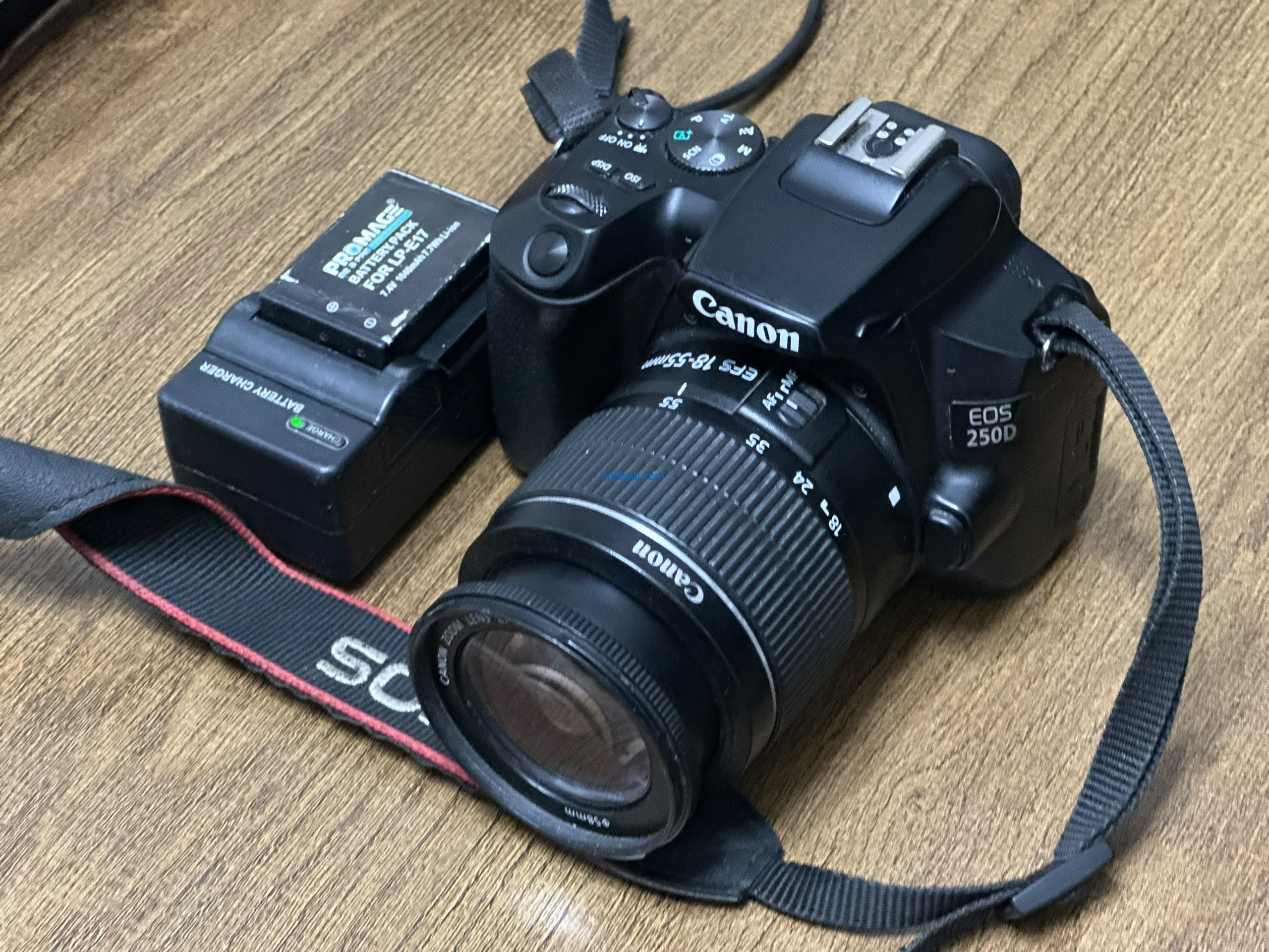 CANON CAMERA 250D DSLR