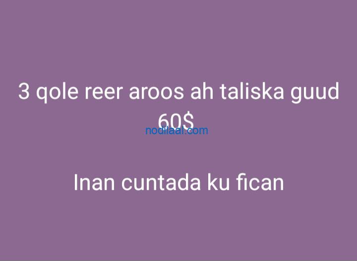 Shaqo 3 qol reer aroosa bishii $60