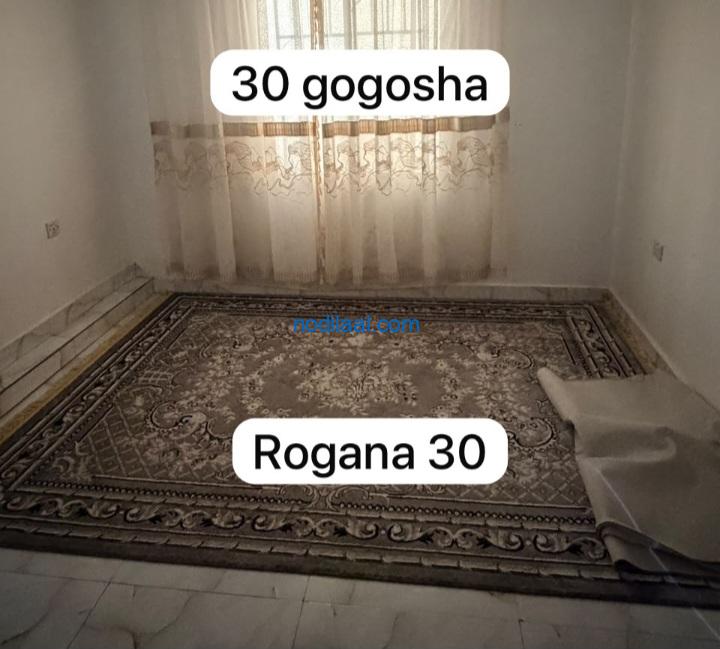 Daah iyo roog