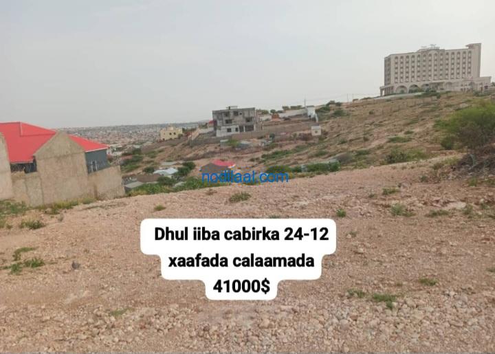 Dhul iiba