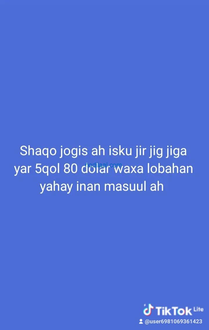 Shaqo